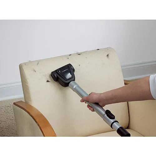 Thumbnail for Pet Friendly Upright Vacuum - Blue