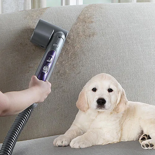 Thumbnail for 600 Series Bagged Canister Vacuum w/ Pet PowerMate - Purple